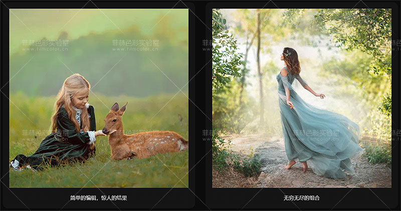 图片[2]-Lightroom预设 - AI portrait - Intelligent [ No.L0002 ]-菲林色彩实验室