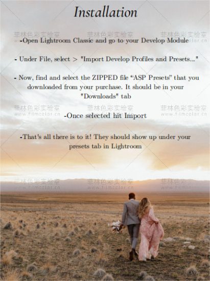 图片[11]-摄影师Ashlyn Stott 预设包 [ No.L0003 ]-菲林色彩实验室