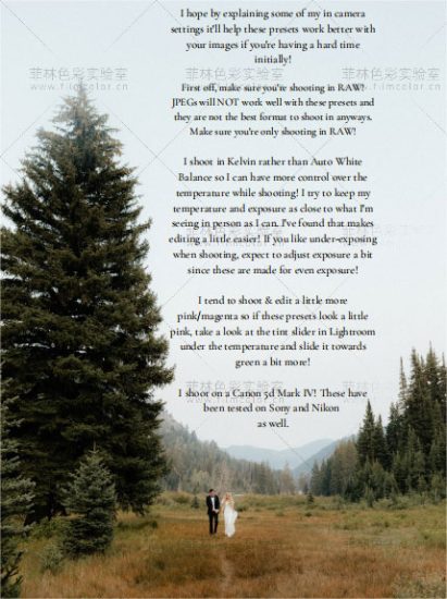 图片[13]-摄影师Ashlyn Stott 预设包 [ No.L0003 ]-菲林色彩实验室