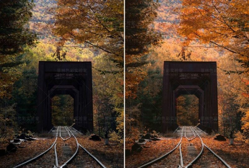 图片[6]-肖恩·道尔顿（Sean Dalton）的Wanderlust旅行预设包 [ No.L0005 ]-菲林色彩实验室