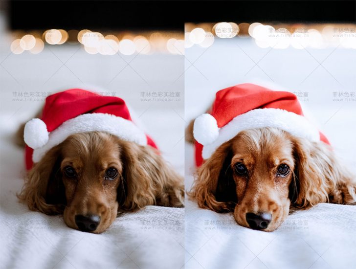 图片[8]-Nutcracker 圣诞主题LR预设 [ No.L0006 ]-菲林色彩实验室