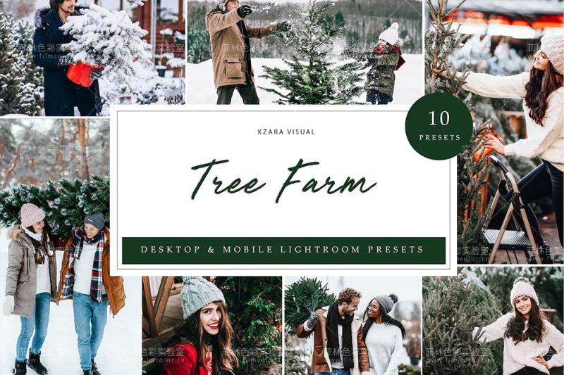 图片[1]-Tree Farm 圣诞主题预设包[No.L0007]-菲林色彩实验室