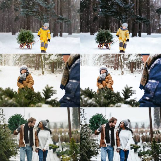 图片[2]-Tree Farm 圣诞主题预设包[No.L0007]-菲林色彩实验室