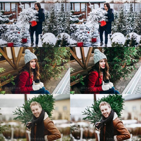 图片[3]-Tree Farm 圣诞主题预设包[No.L0007]-菲林色彩实验室