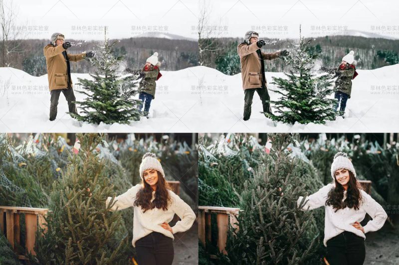 图片[4]-Tree Farm 圣诞主题预设包[No.L0007]-菲林色彩实验室