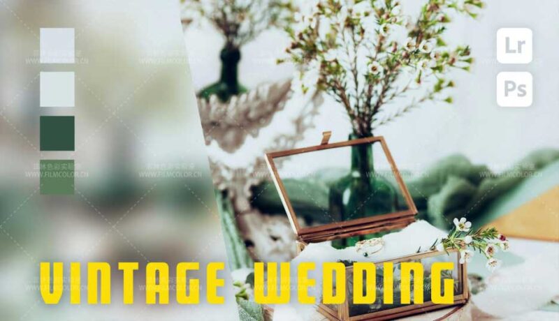 图片[1]-6个复古婚礼预设[No.L0008]-菲林色彩实验室