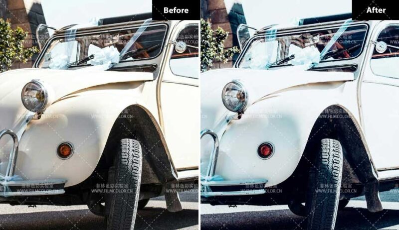 图片[2]-6个复古婚礼预设[No.L0008]-菲林色彩实验室