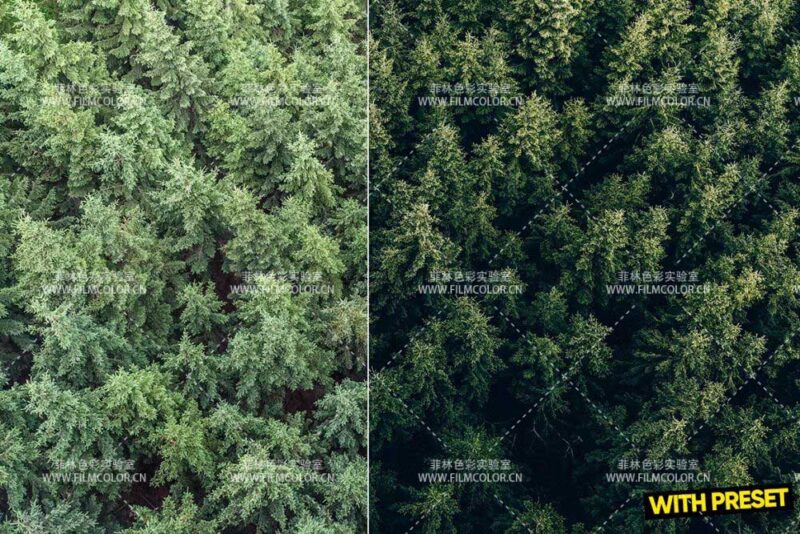 图片[2]-ARTA – Green Haven PresetsNo.L0010-菲林色彩实验室