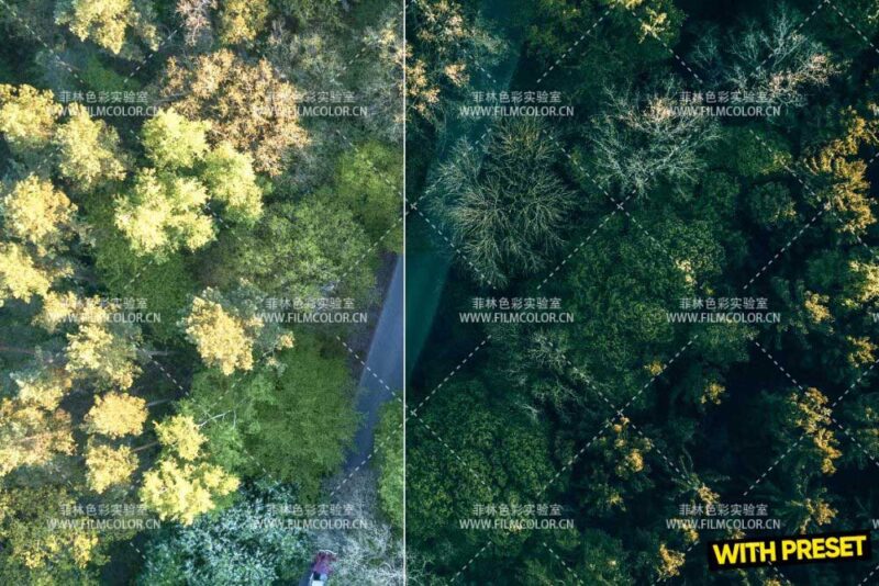 图片[3]-ARTA – Green Haven PresetsNo.L0010-菲林色彩实验室