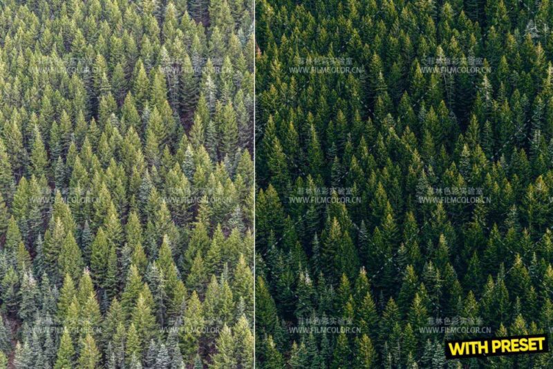 图片[4]-ARTA – Green Haven PresetsNo.L0010-菲林色彩实验室