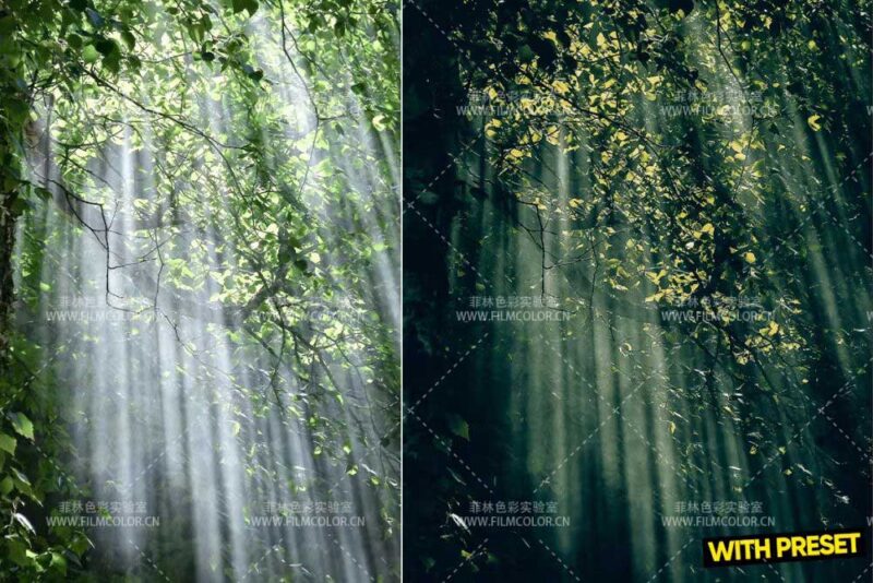 图片[5]-ARTA – Green Haven PresetsNo.L0010-菲林色彩实验室