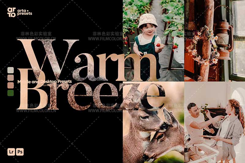 图片[1]-ARTA – Warm Breeze Presets 暖风No.L0011-菲林色彩实验室