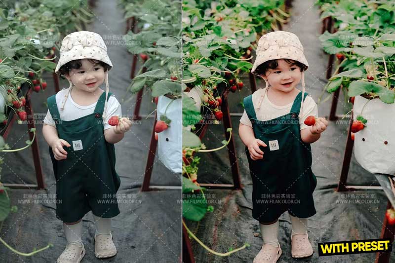 图片[3]-ARTA – Warm Breeze Presets 暖风No.L0011-菲林色彩实验室