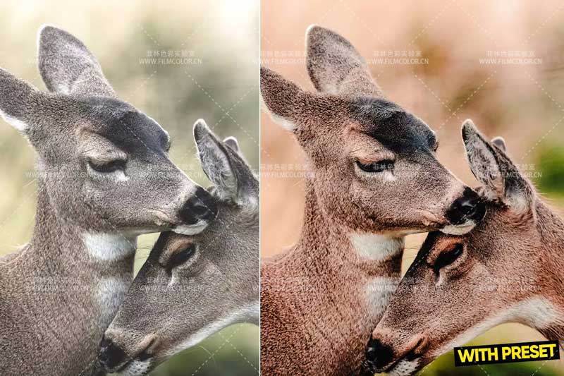 图片[5]-ARTA – Warm Breeze Presets 暖风No.L0011-菲林色彩实验室