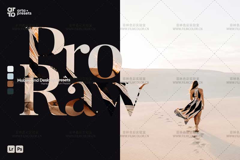 图片[1]-ARTA – ProRaw PresetsNo.L0012-菲林色彩实验室