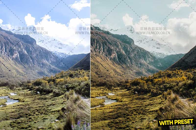 图片[3]-ARTA – ProRaw PresetsNo.L0012-菲林色彩实验室