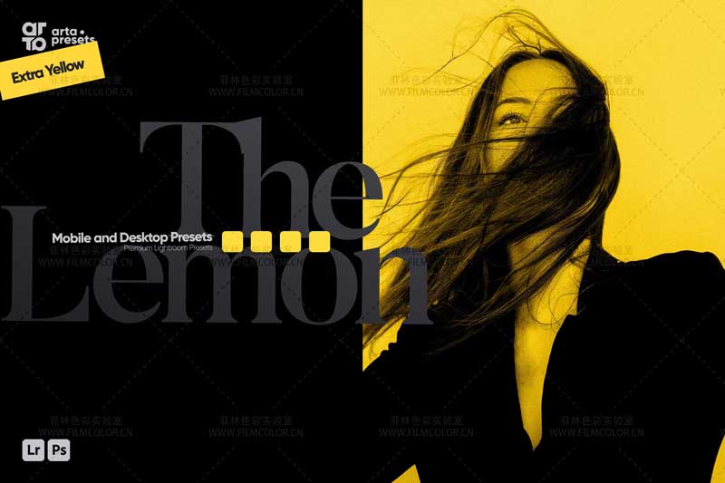 图片[1]-ARTA – The Lemon PresetsNo.L0013-菲林色彩实验室