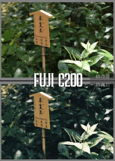 图片[2]-FILM系列 – FUJICOLOR C200 – FujifilmFILM系列-菲林色彩实验室