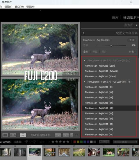 图片[4]-FILM系列 – FUJICOLOR C200 – FujifilmFILM系列-菲林色彩实验室