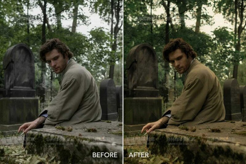 图片[10]-Twilight Cinema – Preset LightroomNo.L0015-菲林色彩实验室