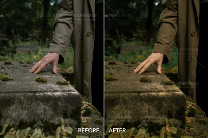 图片[2]-Twilight Cinema – Preset LightroomNo.L0015-菲林色彩实验室