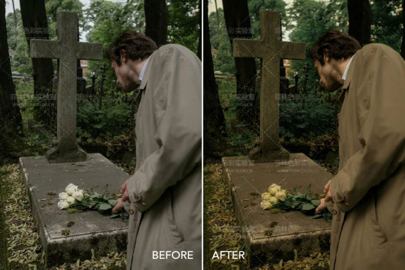 图片[5]-Twilight Cinema – Preset LightroomNo.L0015-菲林色彩实验室