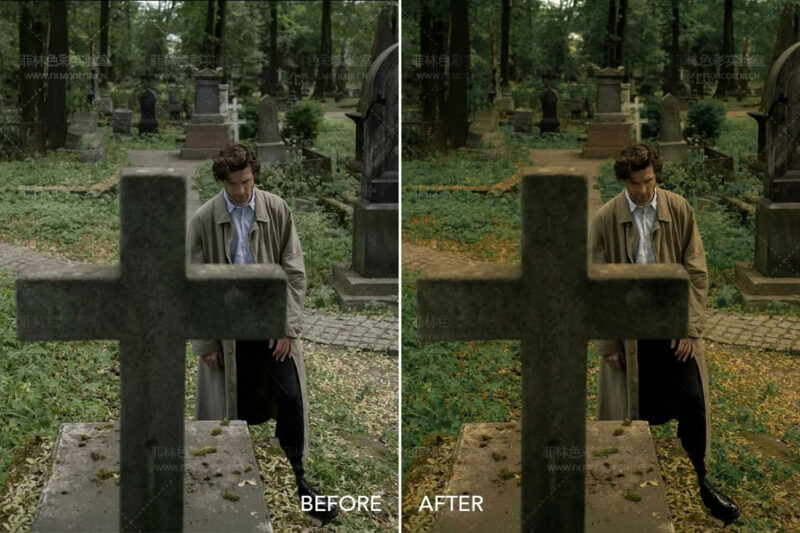 图片[6]-Twilight Cinema – Preset LightroomNo.L0015-菲林色彩实验室