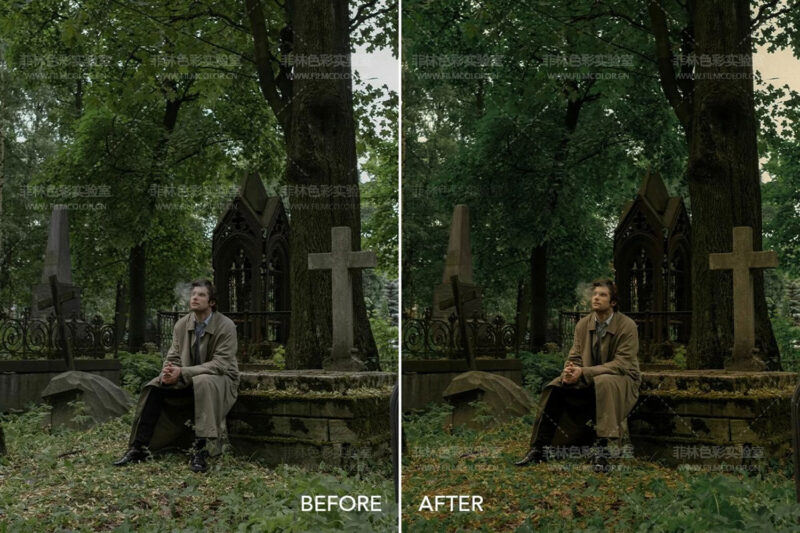 图片[7]-Twilight Cinema – Preset LightroomNo.L0015-菲林色彩实验室