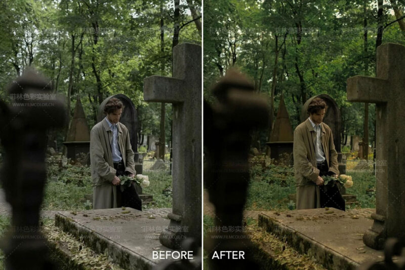 图片[8]-Twilight Cinema – Preset LightroomNo.L0015-菲林色彩实验室