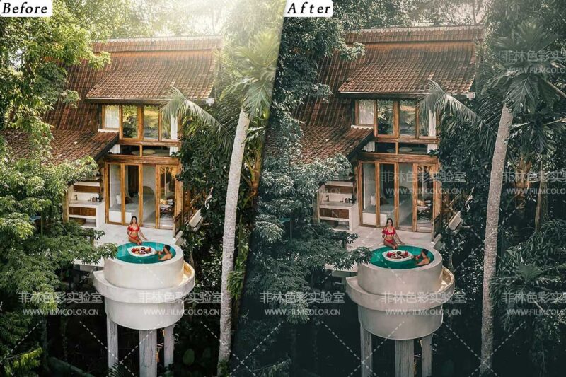 图片[2]-巴厘岛旅拍预设   Bali Travel Presets – luts  ProNo.L0016-菲林色彩实验室