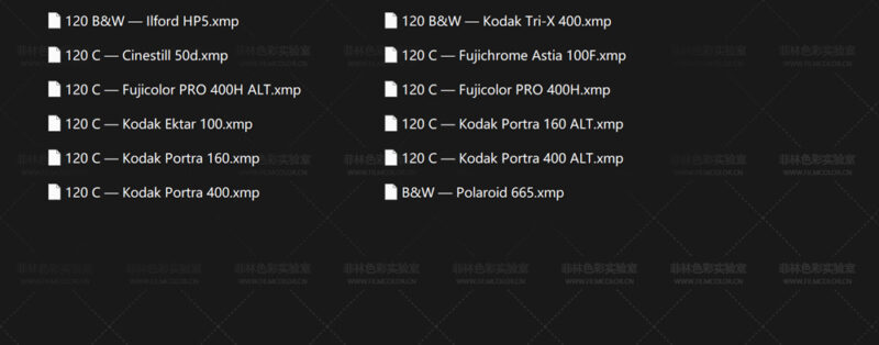 图片[2]-英国摄影师 Jamie Windsor JW Presets Pack — 2 Medium Format StockNo.L0019-菲林色彩实验室