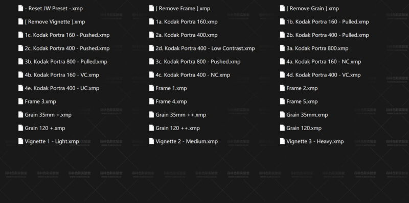 图片[2]-英国摄影师 Jamie Windsor JW Presets Pack 3.2 – PortraNo.L0022-菲林色彩实验室