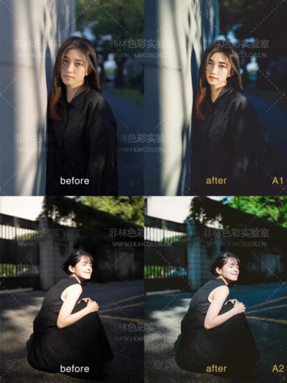 图片[4]-高仿zhenYong摄影师预设No.L0027-菲林色彩实验室