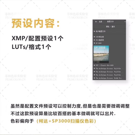 图片[2]-SP3000胶片配置文件预设 复古柯达胶片日系人像预设No.L0028-菲林色彩实验室