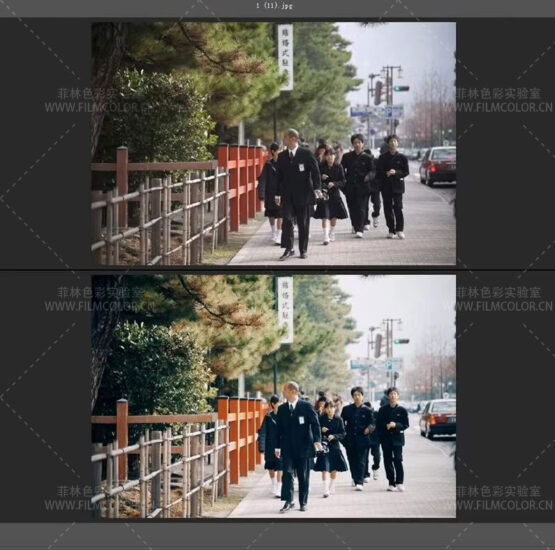 图片[5]-SP3000胶片配置文件预设 复古柯达胶片日系人像预设No.L0028-菲林色彩实验室