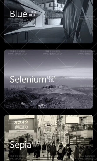 图片[3]-Leica Looks 官方 Lightroom预设和LUTS 各 8 款No.L0029-菲林色彩实验室