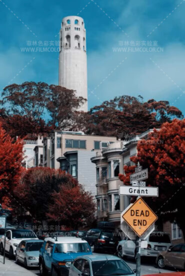 图片[3]-RNI Aerochrome模拟红外效果滤镜Lightroom预设No.L0030-菲林色彩实验室