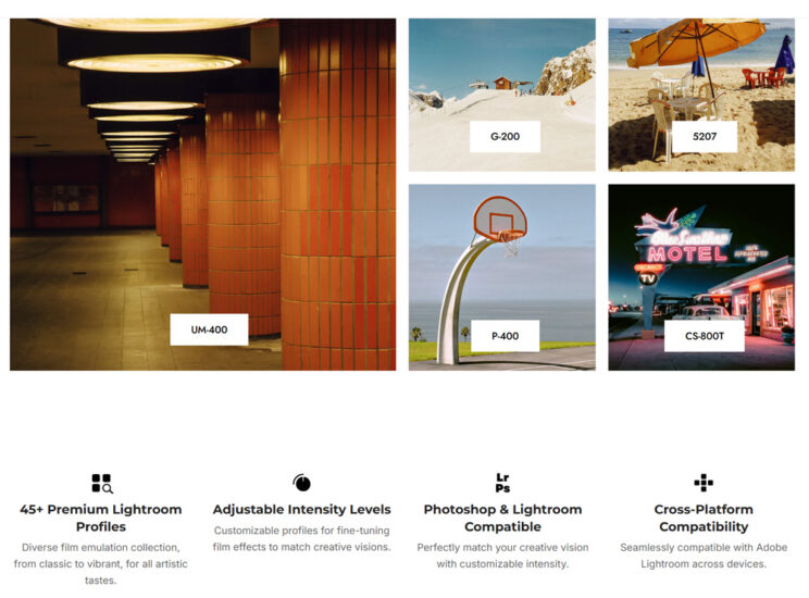 图片[3]-Filmiclab ClassicFilm2  真实胶片电影怀旧色调胶片预设No.L0033-菲林色彩实验室