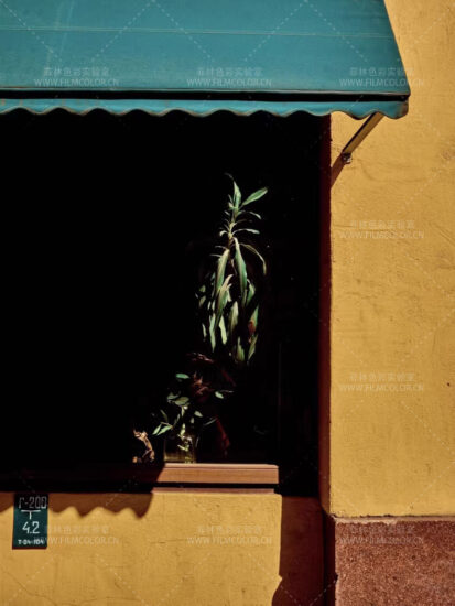 图片[5]-Viktor Balaguer 30个专业电影预设No.L0034-菲林色彩实验室