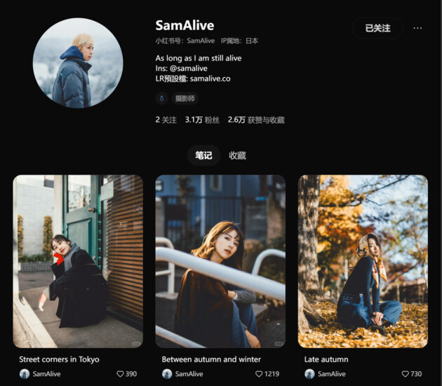 图片[3]-仿台湾摄影师SamAlive预设No.L0035-菲林色彩实验室