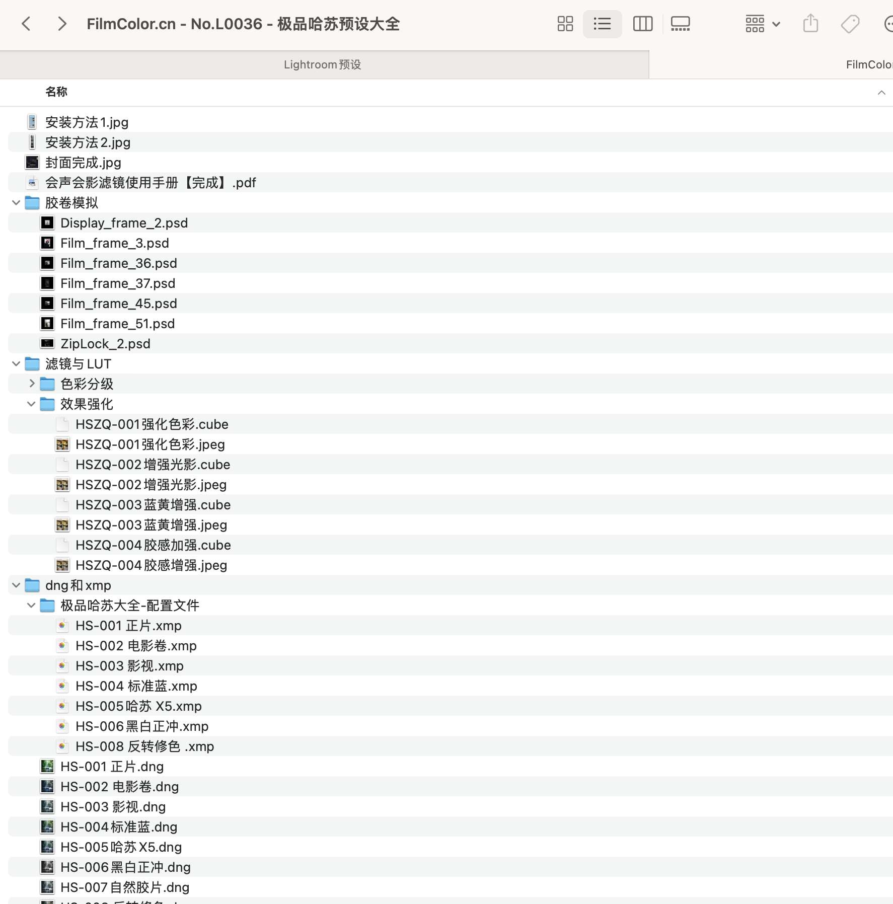 图片[6]-极品哈苏预设大全No.L0036-菲林色彩实验室