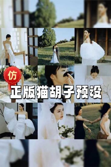 仿正版猫胡子预设11款（.xmp+.cube）-菲林色彩实验室