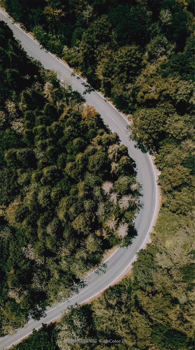 图片[2]-Analogica Lab – Fantastico FiltroLUT0002-菲林色彩实验室