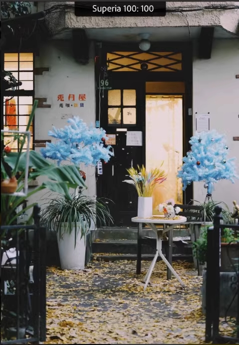 图片[1]-最后一卷胶片预设No.L0049-菲林色彩实验室