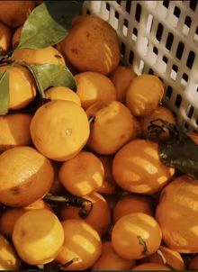 图片[3]-最后一卷胶片预设No.L0049-菲林色彩实验室