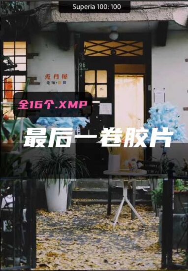 最后一卷胶片预设-菲林色彩实验室