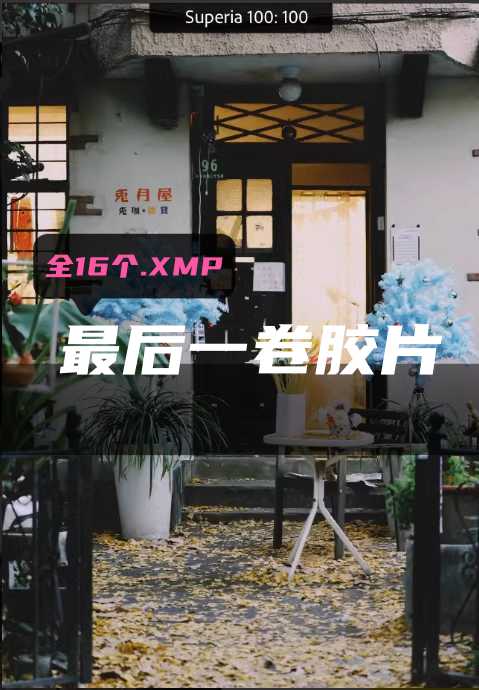 最后一卷胶片预设No.L0049-菲林色彩实验室