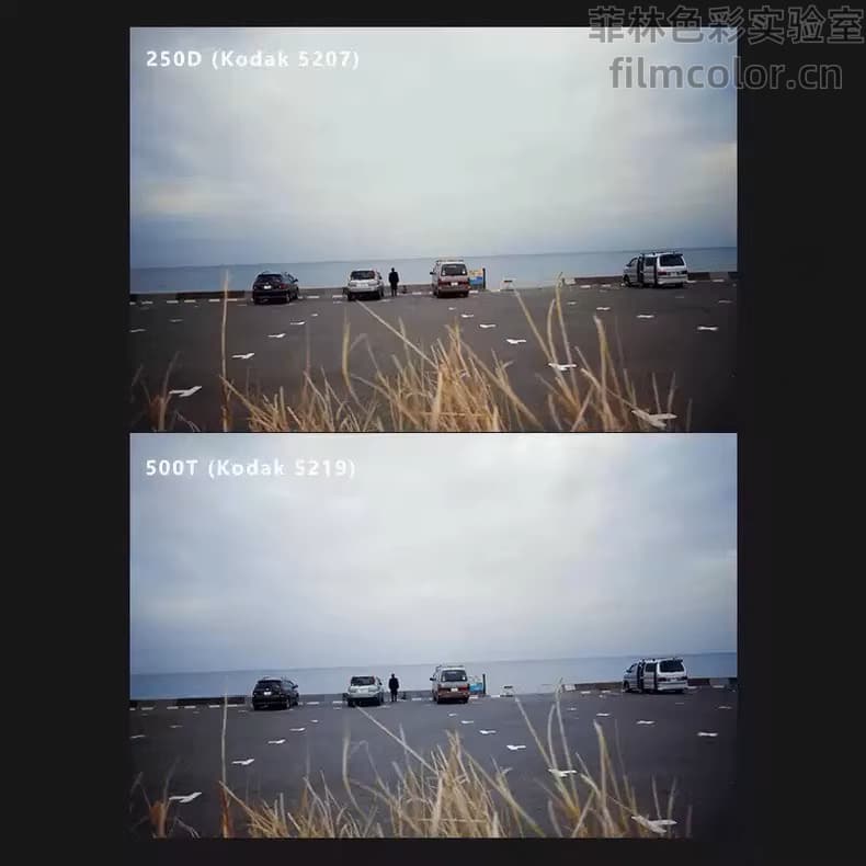 图片[2]-哈苏蓝调预设5207 5219No.L0050-菲林色彩实验室