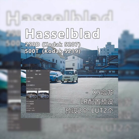 哈苏蓝调预设5207 5219-菲林色彩实验室