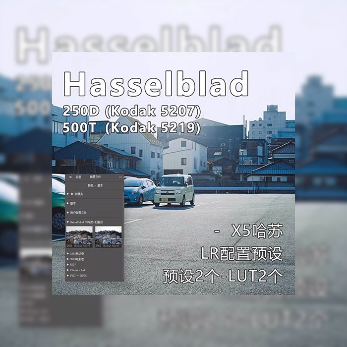 哈苏蓝调预设5207 5219No.L0050-菲林色彩实验室